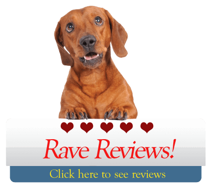 Rave Reviews Banner