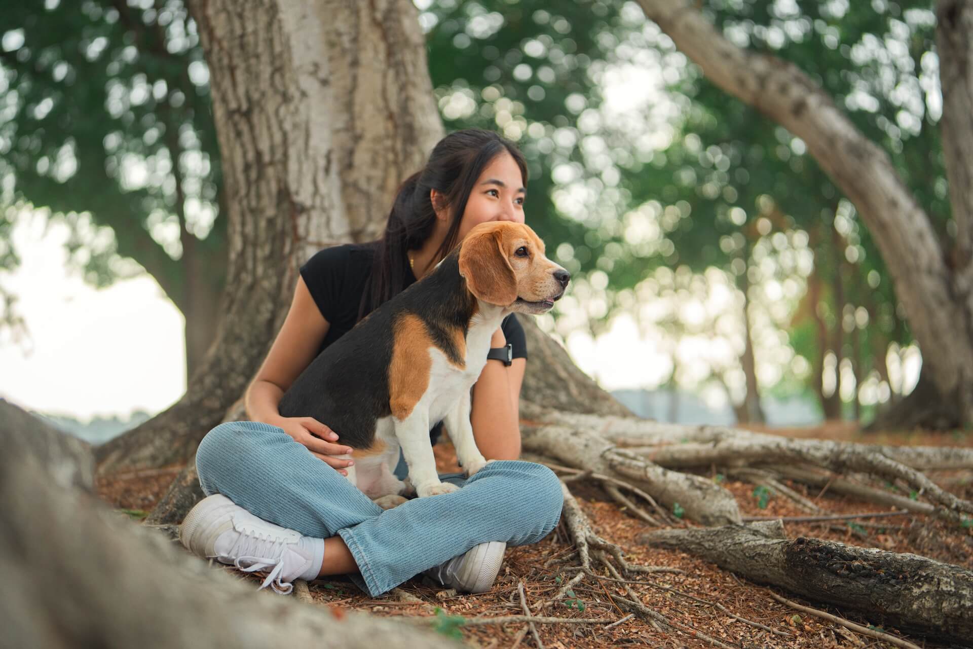 Pet hospital in Alpharetta GA