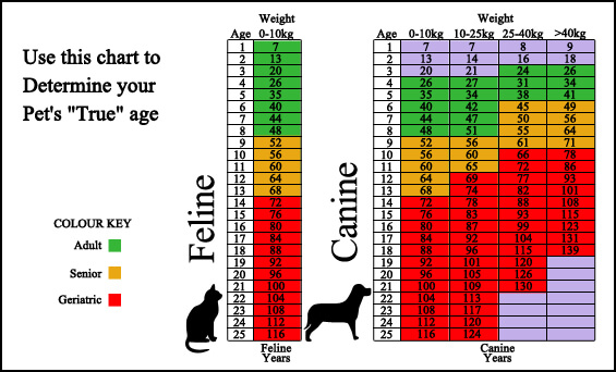 Age Chart for dogs and cats