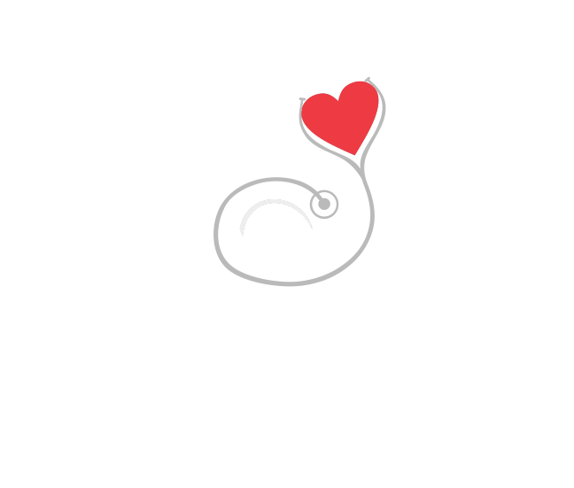 Webb Bridge Animal Hospital